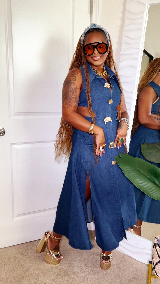 Stand for Something Denim Dress